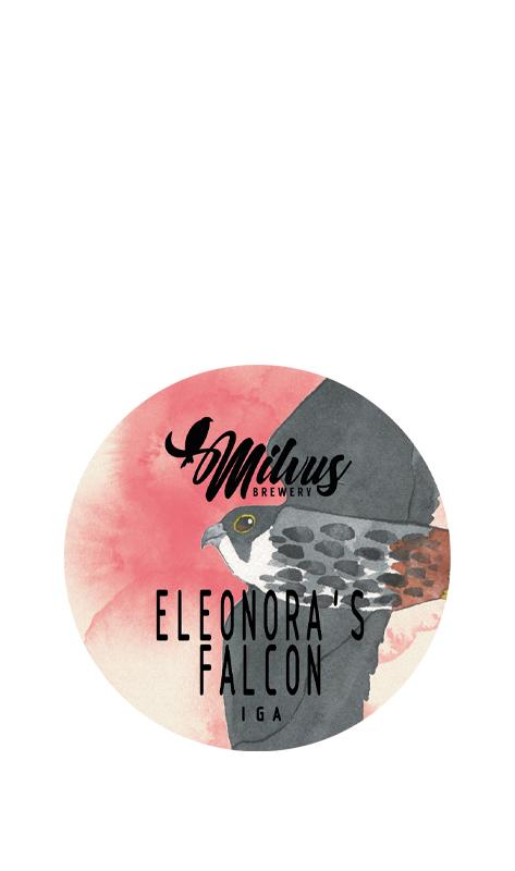 Eleonora’s Falcon