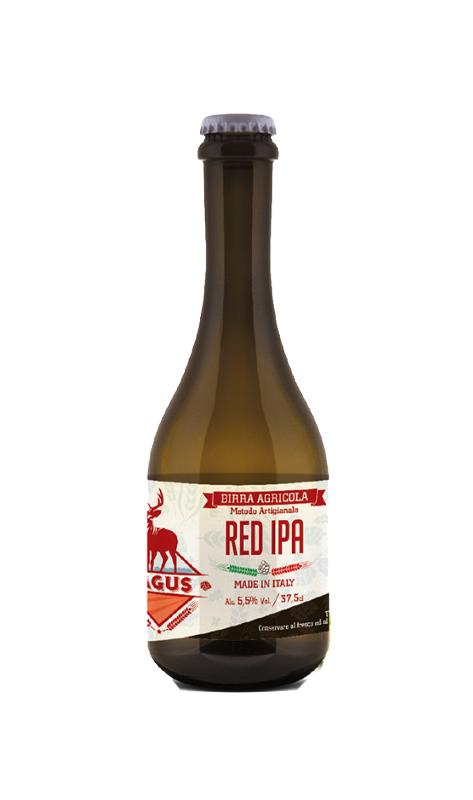 Red Ipa