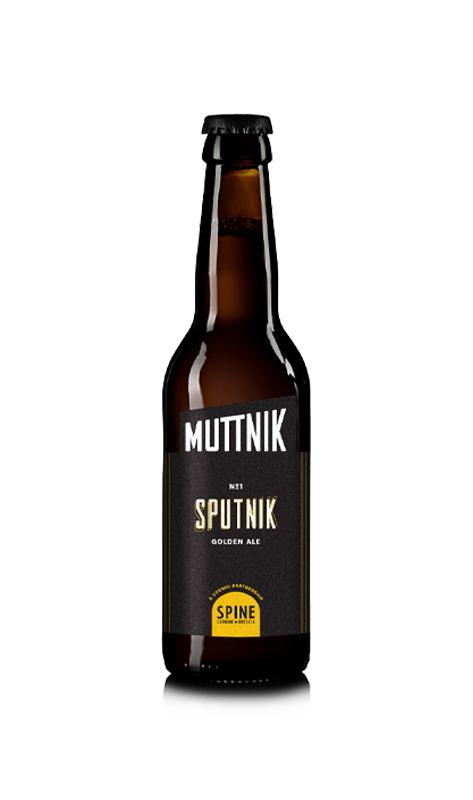 Sputnik n1